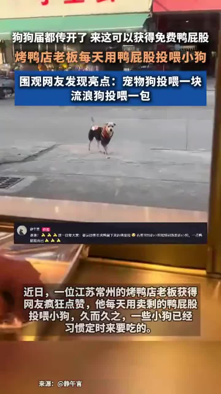 烤鸭店老板每日用鸭屁股投喂小狗