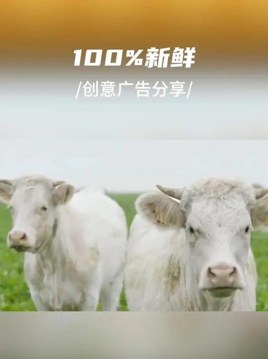 创意广告案例｜我们的原料从这来～