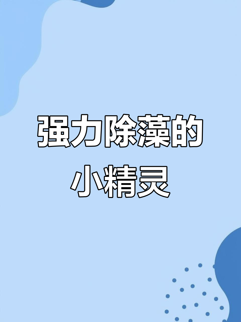 小精灵鱼：除藻小能手，草缸清洁必备