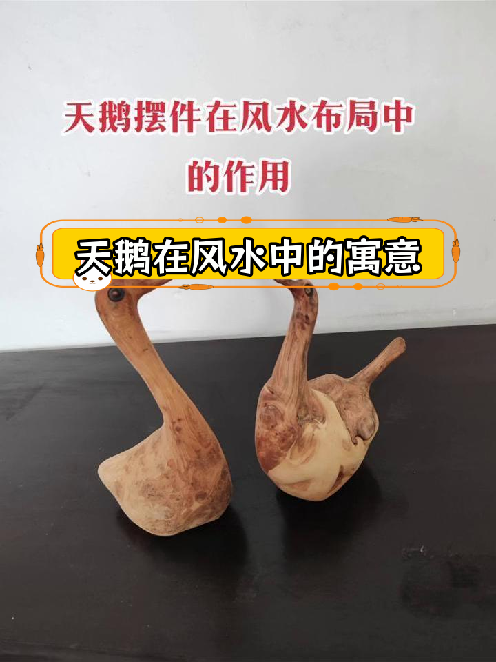 天鹅风水摆件的作用与意义