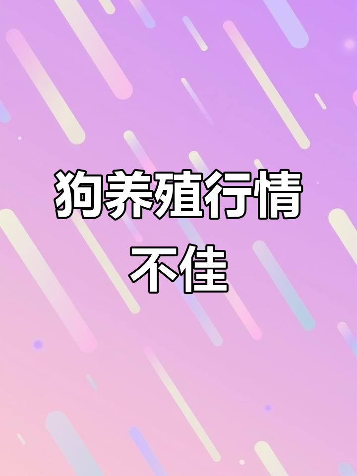 养狗行业变天,品种狗有出路,菜狗难卖