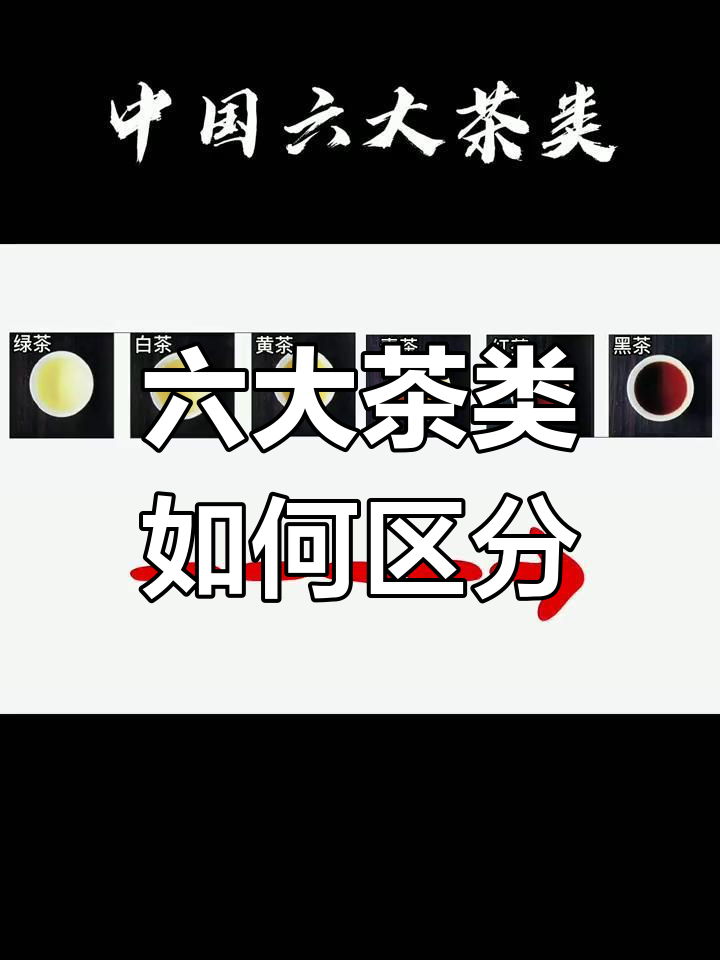 中国六大茶类的分类与发酵程度解析