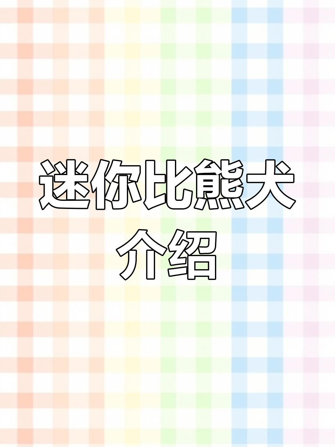 比熊犬:温顺可爱的家庭伴侣