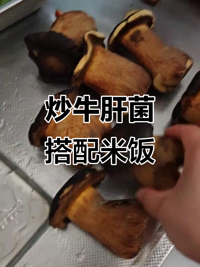 炒牛肝菌配米饭,鲜香四溢的野餐美味