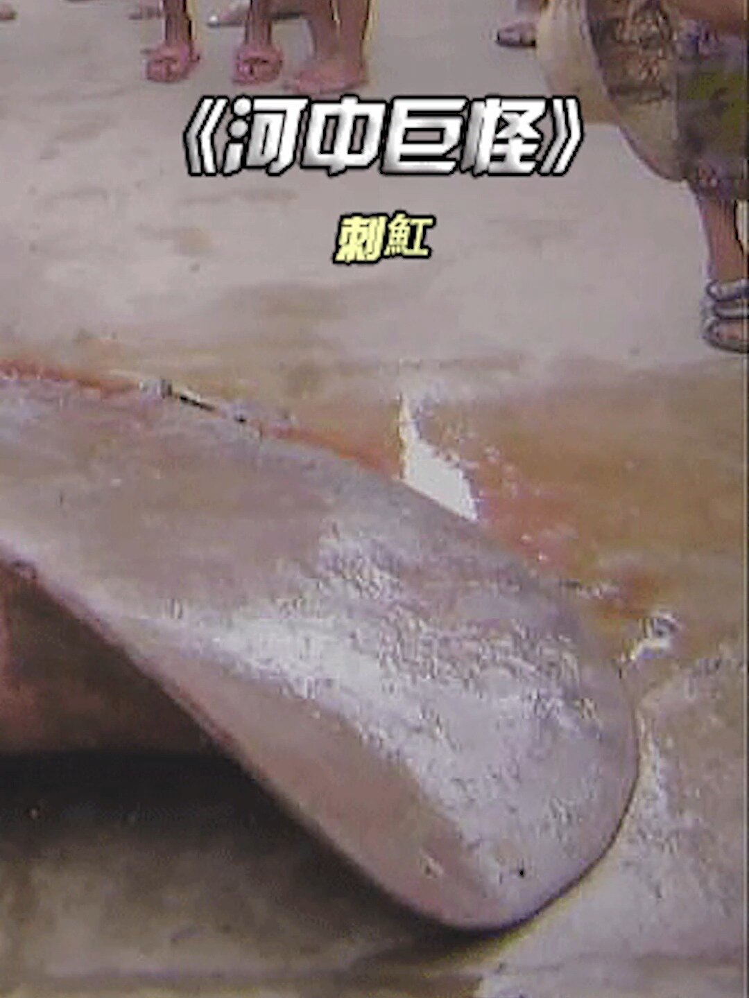 河中巨怪之刺魟
