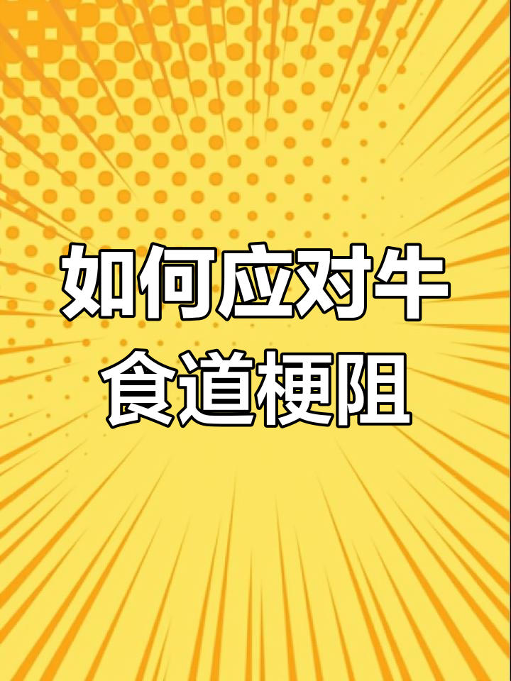 牛食道梗塞的紧急处理方法