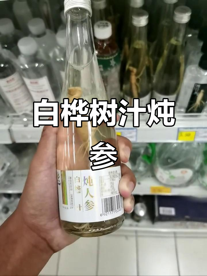白桦树汁炖人参,滋补效果超乎想象