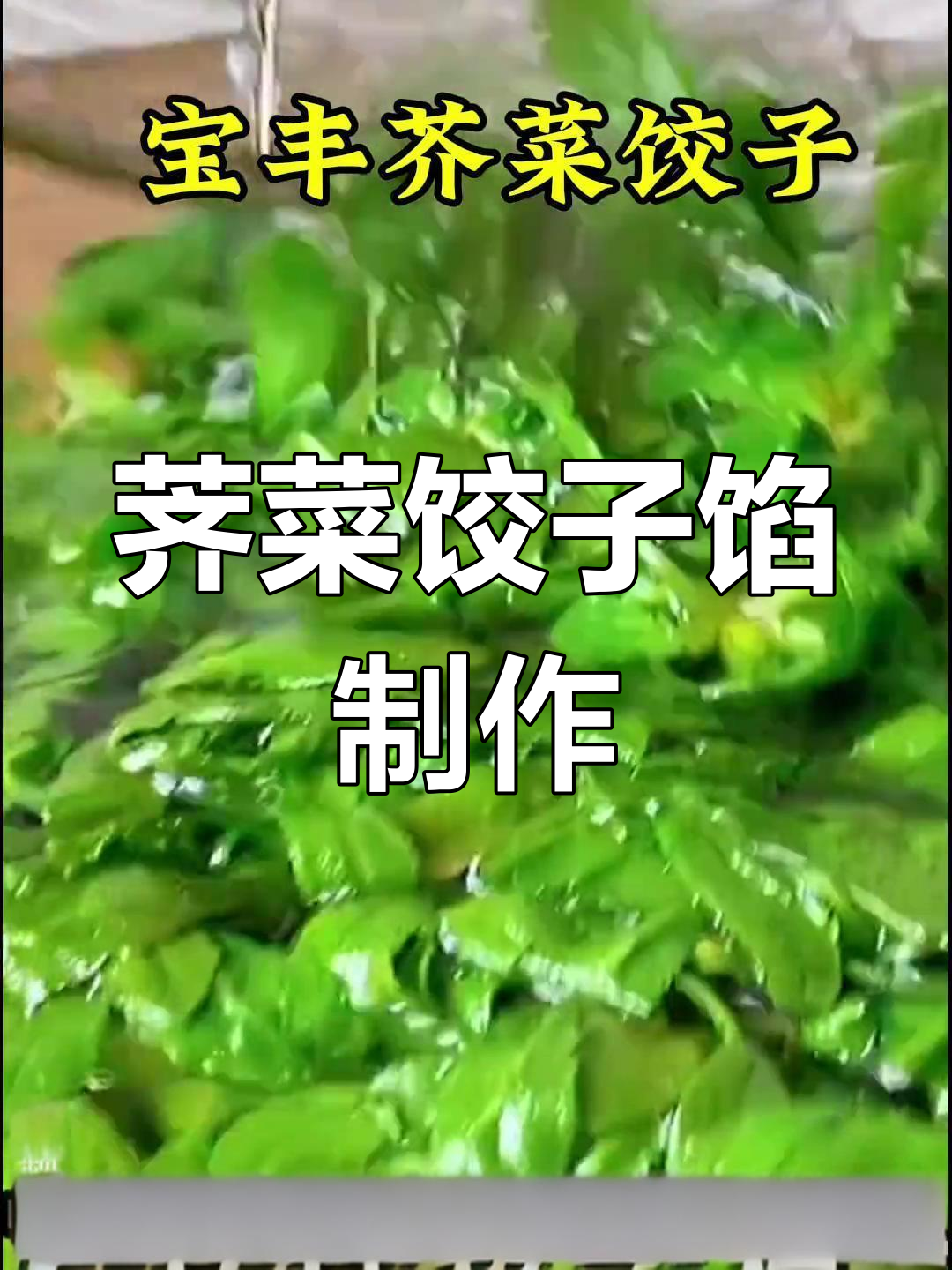 荠菜饺子馅的北方做法,油大才香!