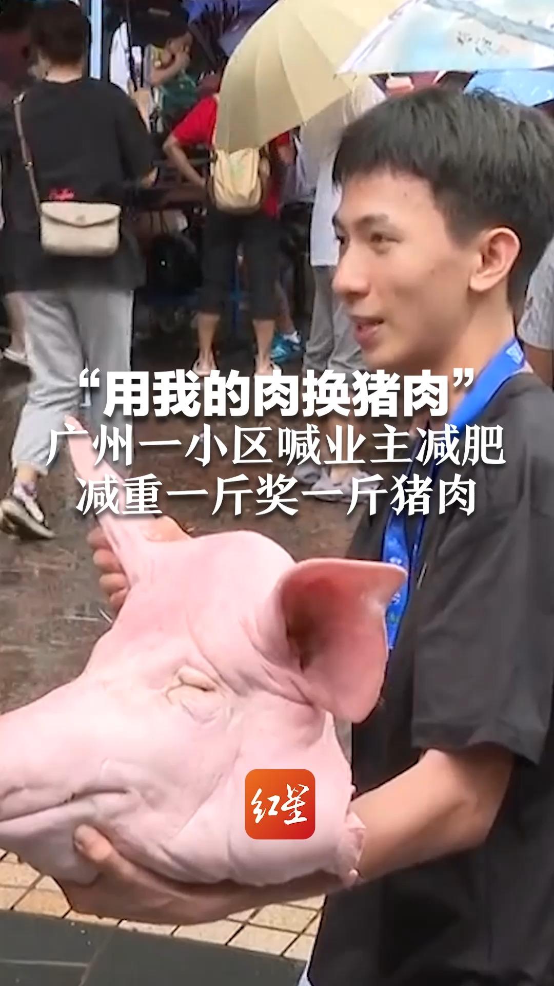 “用我的肉换猪肉” 广州一小区喊业主减肥 减重一斤奖一斤猪肉