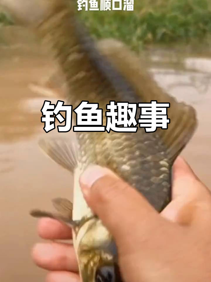 钓鱼搞笑顺口溜,笑到停不下来
