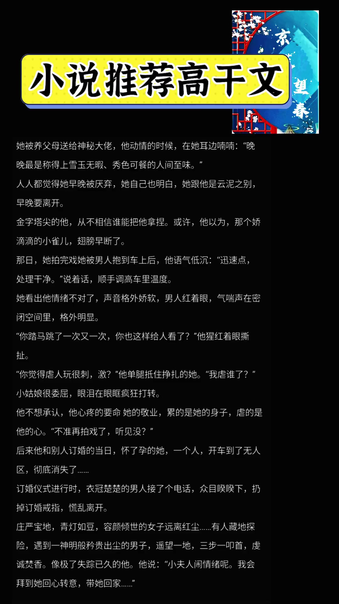 小说推荐高干文