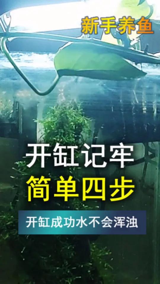 养鱼开缸步骤,一分钟了解清楚
