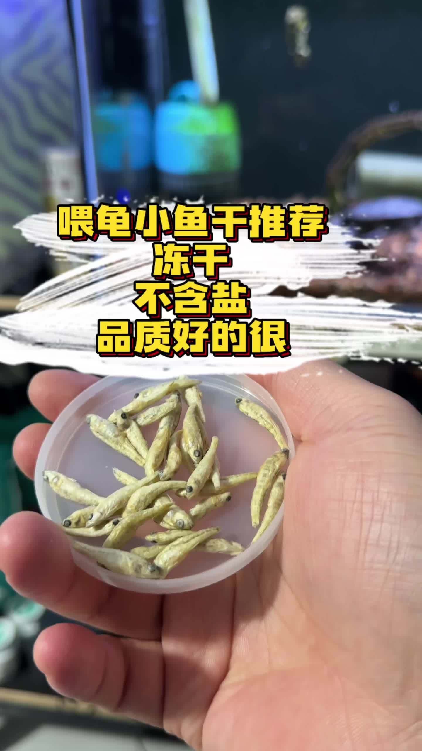 淡水小鱼干推荐 没事喂点鱼干虾干,符合乌龟食谱,虾干补钙固甲促进发色,鱼干补充蛋白质和脂肪