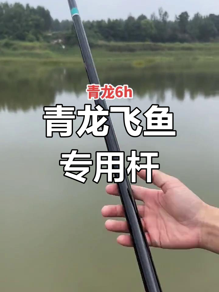名伦青龙飞鱼竿,超轻硬钓黑坑颗粒,手感极佳