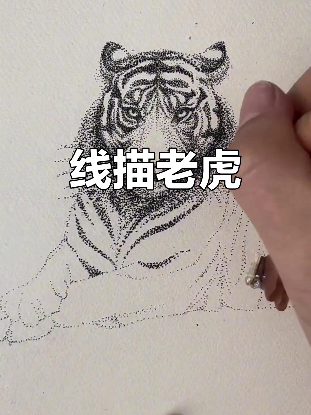 黑白线描画:从虎的轮廓到栩栩如生的细节