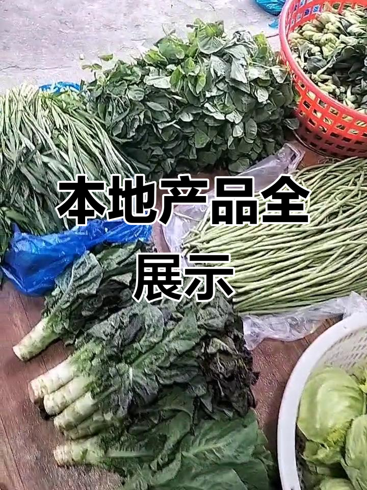 本地精品蔬菜大集合,香菇竹笋冬瓜样样有