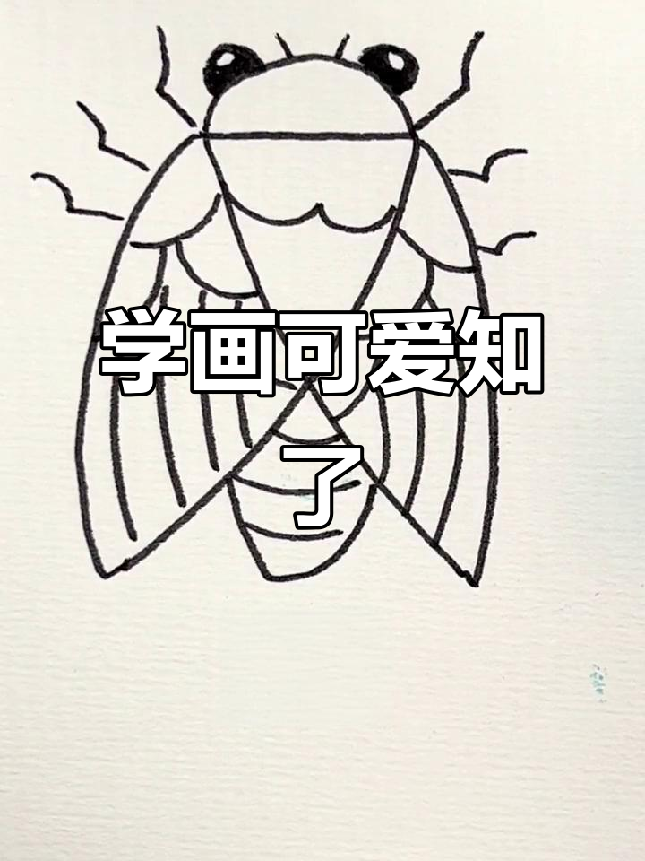 轻松学画知了，简单步骤教你搞定！
