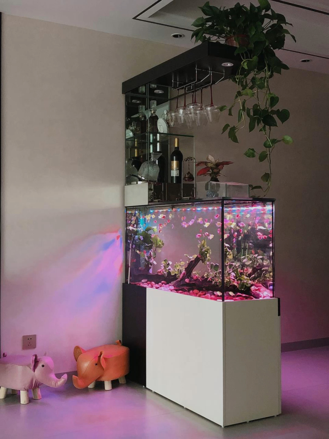 新年最满意的家具——隔断柜加鱼缸妥妥的