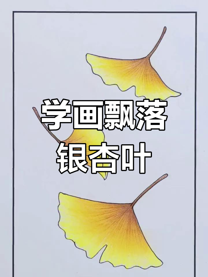 彩铅绘制银杏叶教程