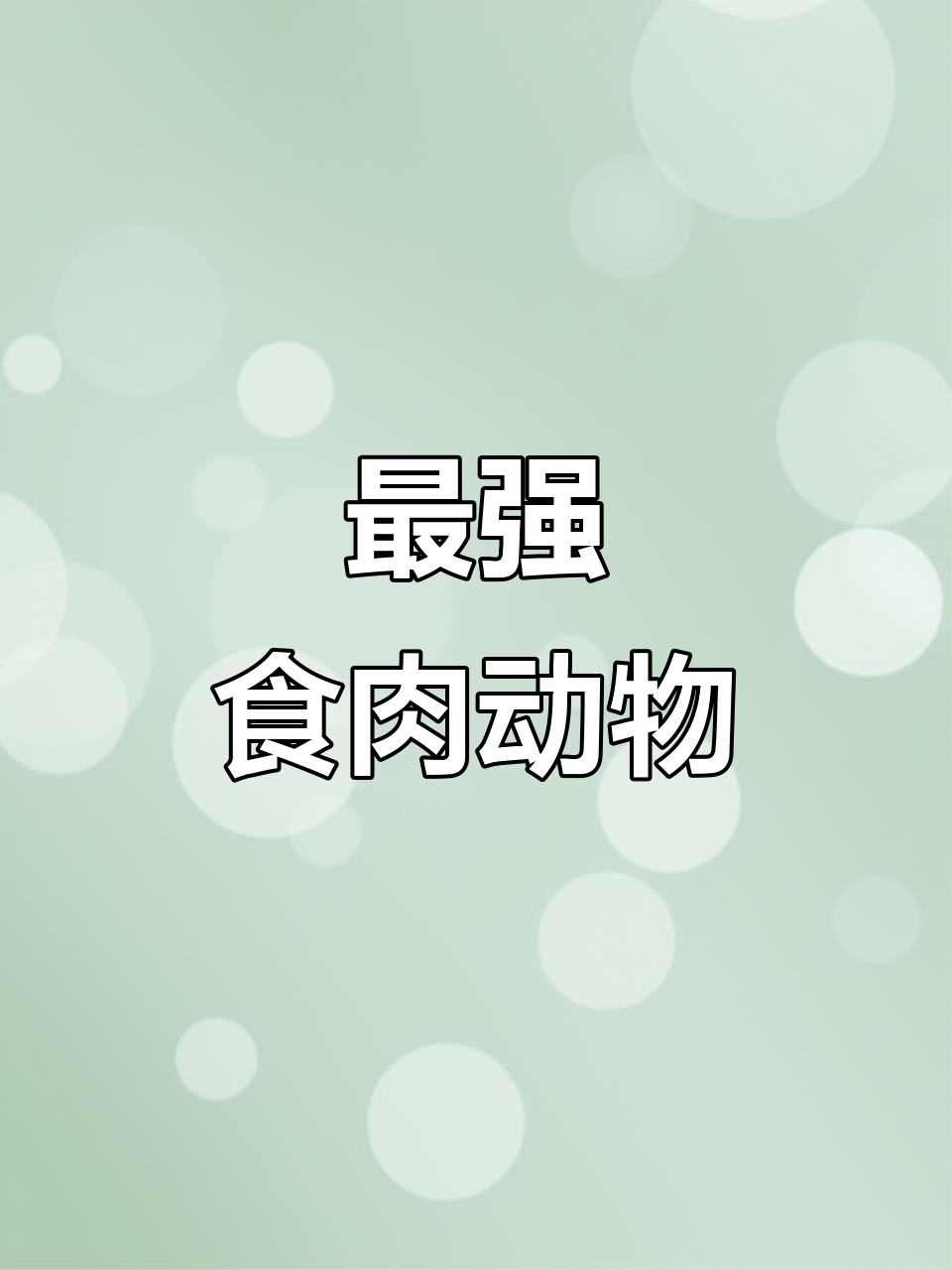 15种最强食肉动物,谁最可怕?