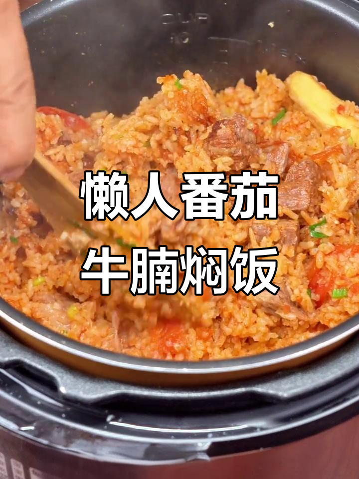 懒人必备!番茄牛腩焖饭,轻松搞定美味晚餐