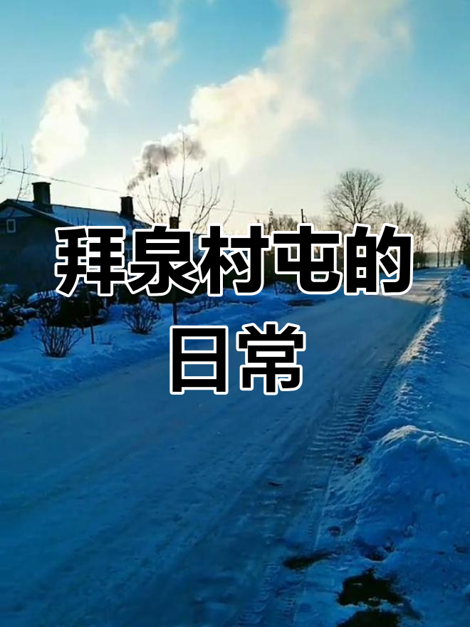 黑龙江拜泉村屯的东北生活,早起喂鸡鸭鹅狗