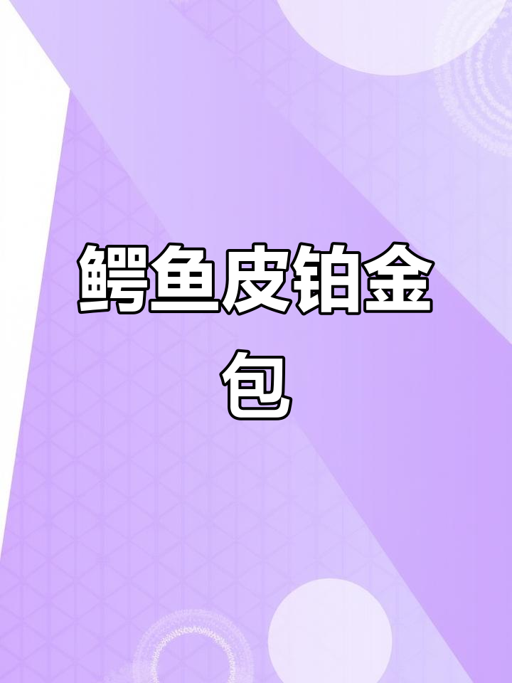 鳄鱼皮铂金包,奢华与优雅的完美结合