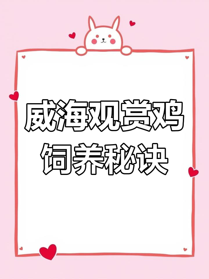 威海观赏鸡养殖技巧:从品种到产蛋全解析