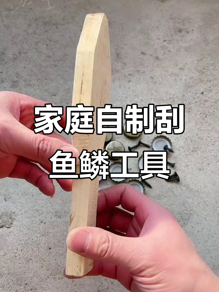 自制刮鱼鳞神器,简单又实用