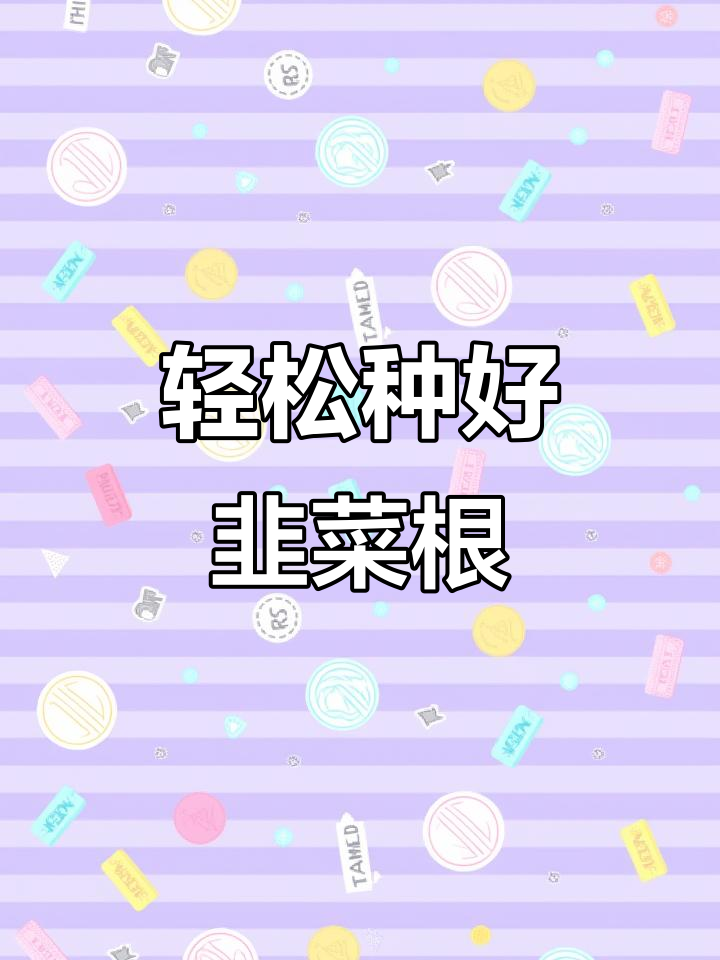 韭菜根种植技巧:简单易管,三天发芽,十九天收割