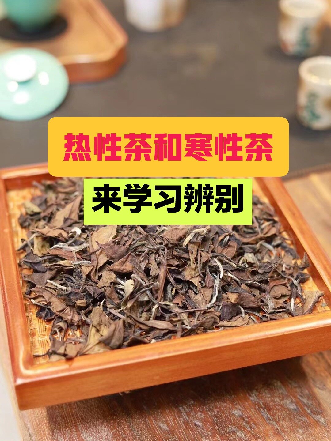 不说不知道,哪些茶是寒性还是热性呢?
