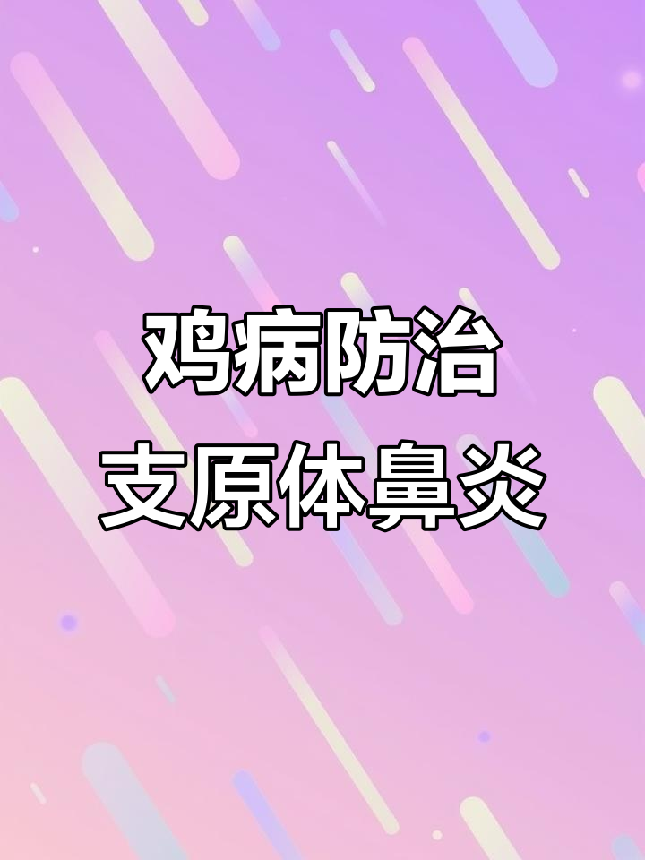 鸡眼肿流泪,黄色干酪物积聚,支原体鼻炎治疗方案揭秘