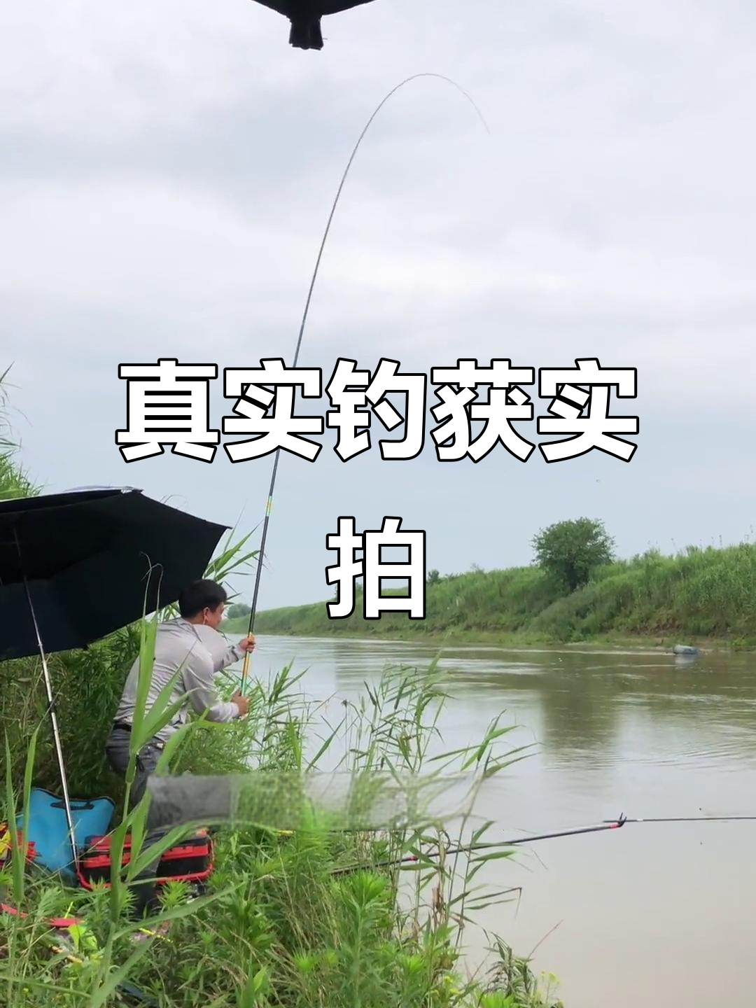 钓鱼现场大揭秘!草鱼、鲶鱼的惊现,竟然不是打桩