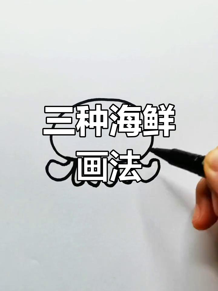 八爪鱼、鱿鱼和乌贼简笔画教程