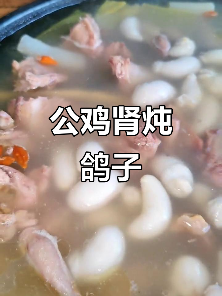 公鸡肾与鸽子炖汤,滋补美味一锅端