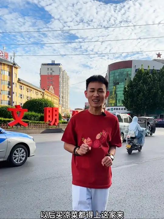 位于鲁山县东关转盘的东北角给大家发现了一个川渝口味的麻辣拌菜他们家的招牌蒜泥白肉和麻辣鸡都