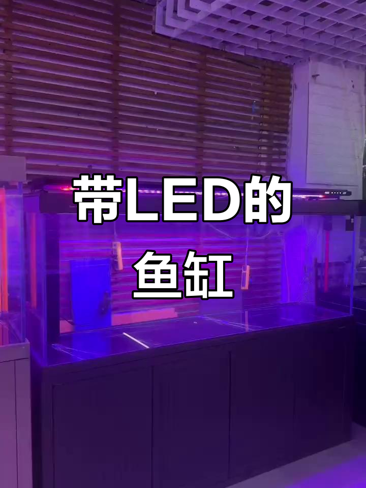 鱼缸里的LED显示屏,时间温度一目了然
