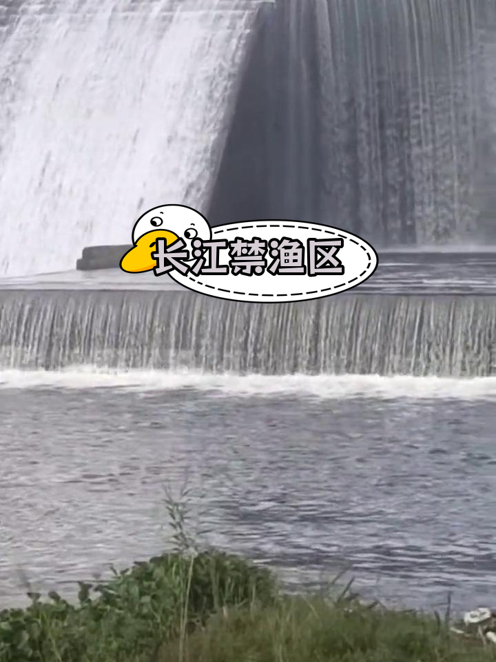 长江上游珍稀鱼类保护区,禁止垂钓捕捞