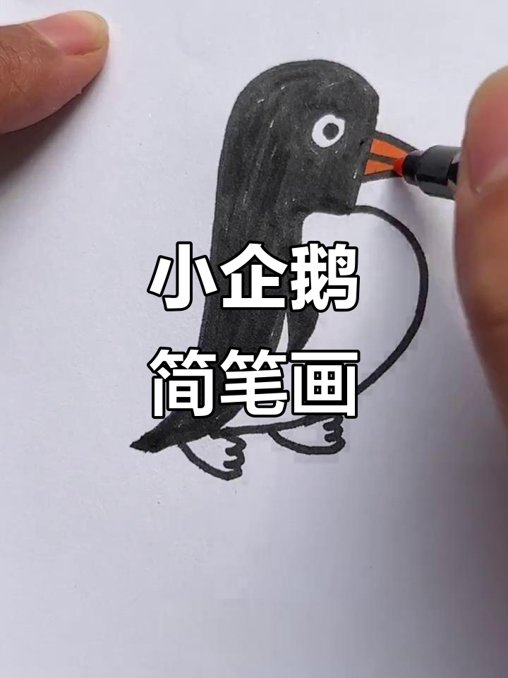 画出可爱小企鹅,带你一起飞往北极探险