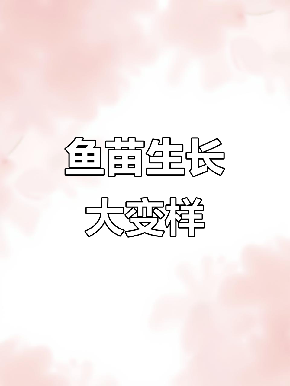 桃心基因鱼苗成长记:从依赖父母到独立变化全过程