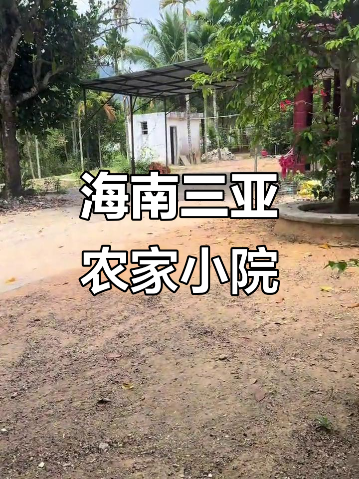 三亚农村小院,种菜养鸡两不误