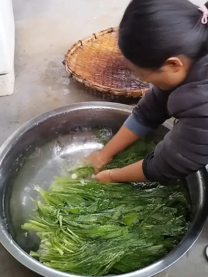 今天尝试用嫩青菜腌制水腌菜