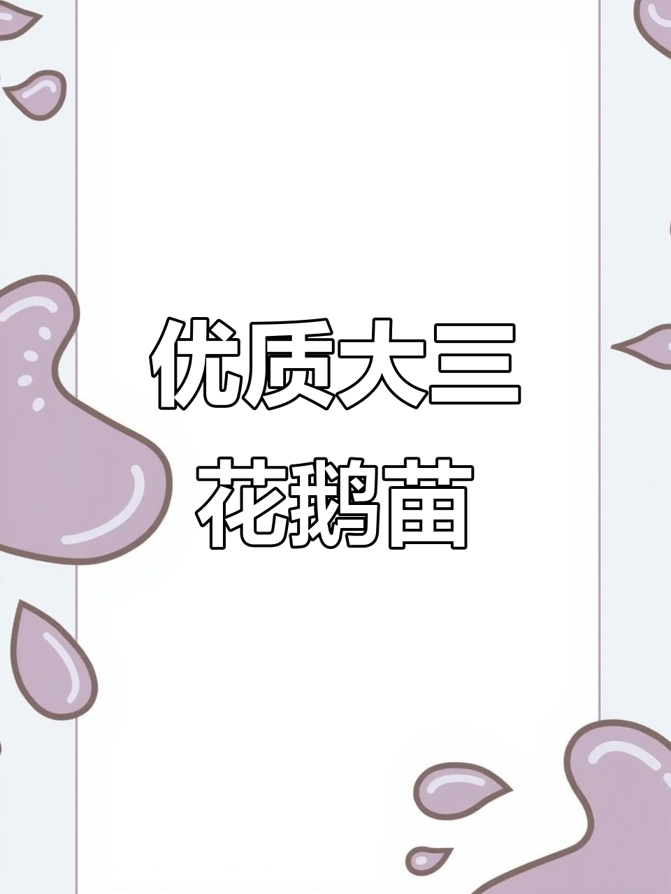大三花鹅苗孵化场,供应优质鹅苗