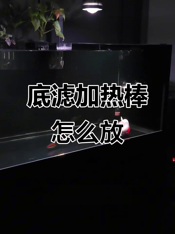 底滤仓加热棒放置技巧,避免这些常见问题