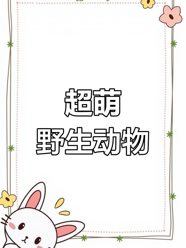 盘点那些呆萌可爱的野生动物,看看你认识几个