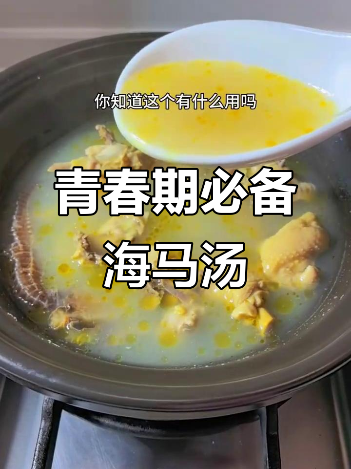 海马田七鸡汤，青春期孩子必喝！
