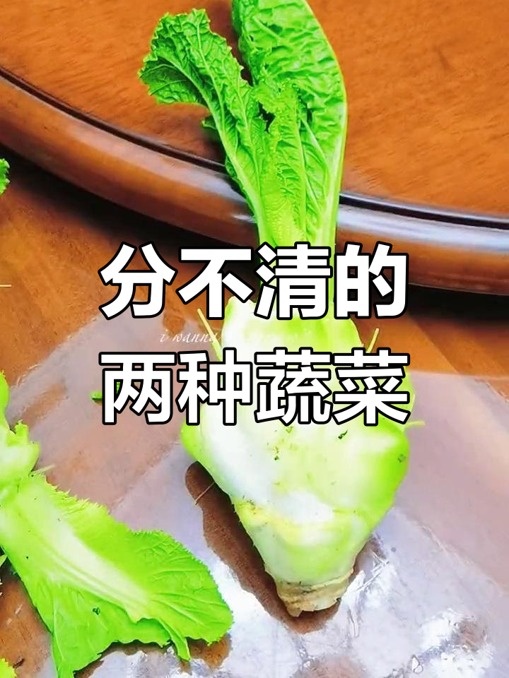 榨菜与儿菜的辨别难题