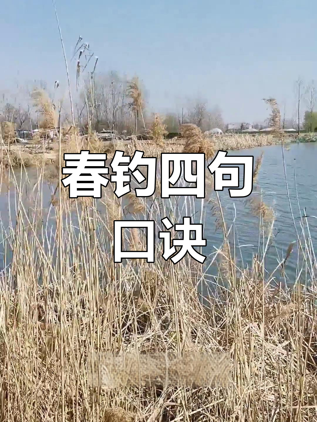春季钓鱼四大秘诀,掌握这些技巧让你事半功倍