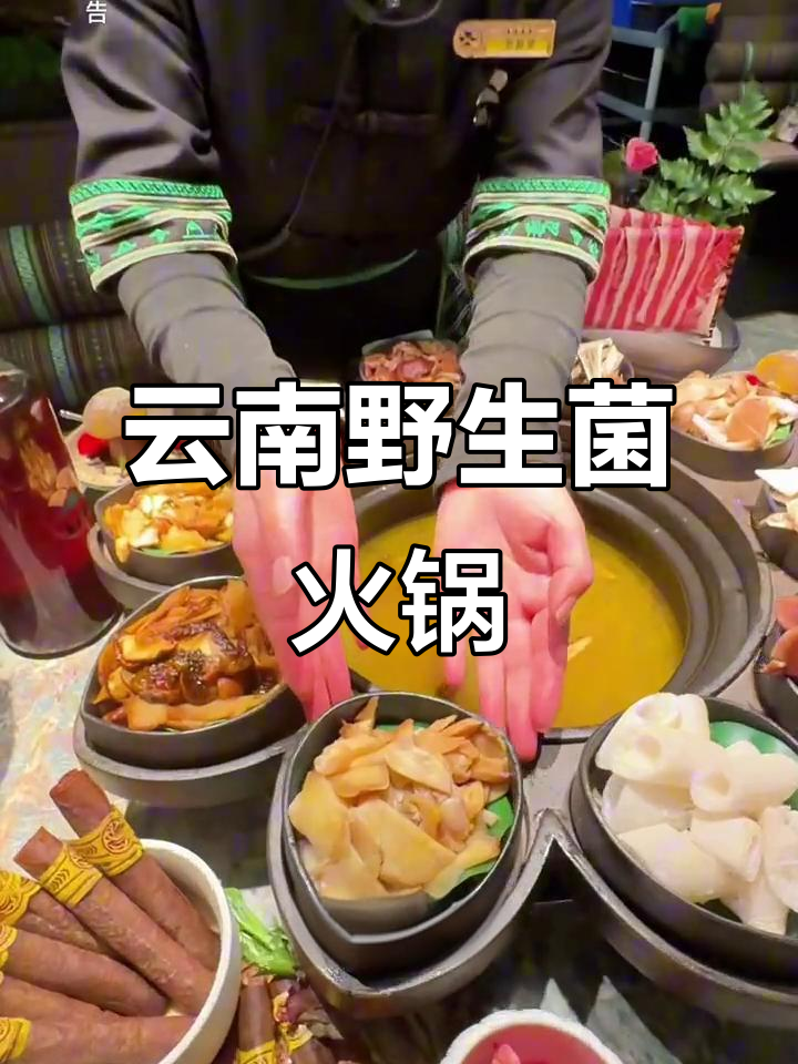 昆明新店!野生菌火锅+冰淇淋蘑菇,山海美食等你来尝
