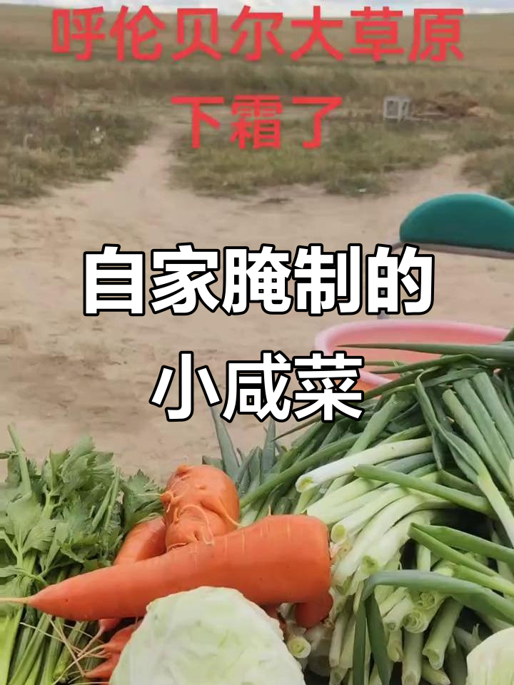 自家小菜园腌咸菜的日常,酸辣脆嫩爽口又下饭